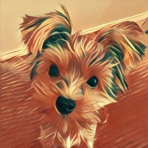 Meet your Posher, Sean